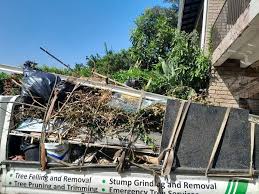 Best Residential Junk Removal in Lincoln, AR